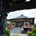 栃の木の新緑と白い花が眩しい五月、禅行事のお知らせです。